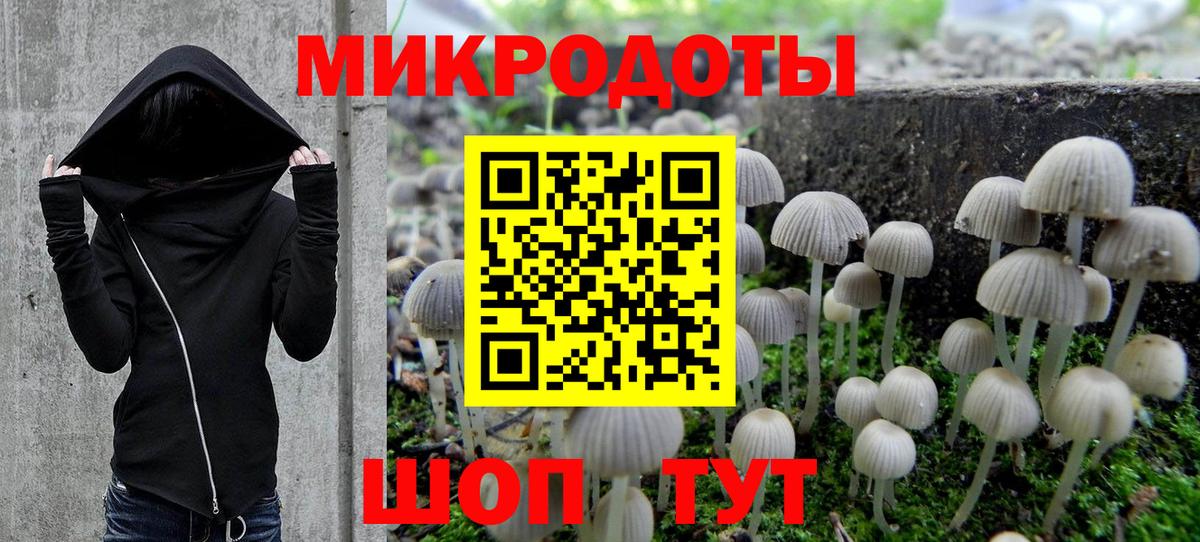 Псилоцибиновые грибы GOLDEN TEACHER Петропавловск-Камчатский