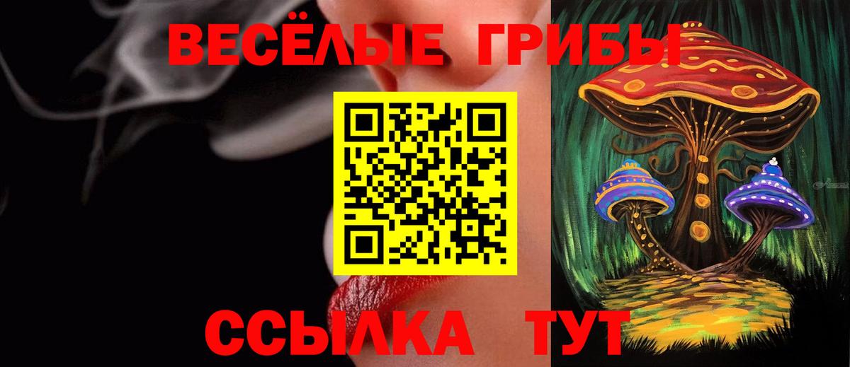 Галлюциногенные грибы Cubensis  Вход с VPN  Псилоцибиновые грибы ЛСД  Петропавловск-Камчатский 